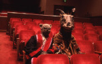 CH 1968-05-15 Center Ring Ballet And Harkee The Cat