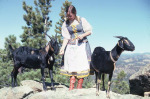 CH 1977-11-12 Heidi