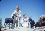 CH 1977-11-12 Heidi