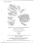 BT 1976-10-05 The Harmfulness of Tobacco – National Theatre Of The Deaf 13